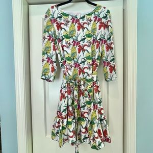 NWOT Persifor Poppy Dress in Green Flower